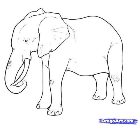 How to Draw an Elephant, Step by Step, safari animals, Animals, FREE ...