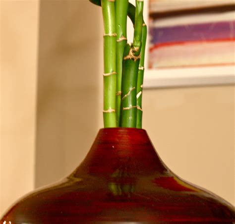Bamboo and Vase | Daily Shoot: Make a high-contrast photogra… | Flickr