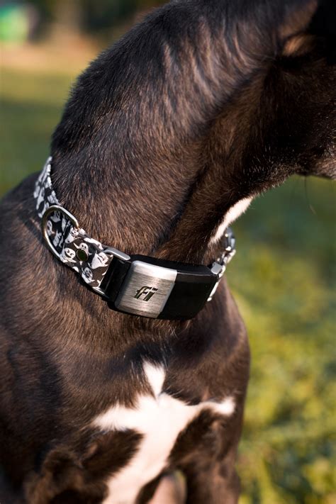 Halloween Dog Collars