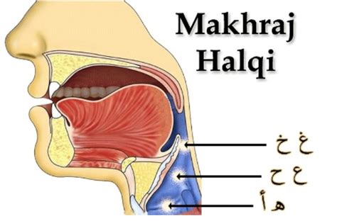 Cara Nak Buat Makhraj Huruf - JaidakruwObrien