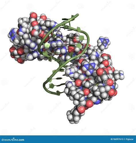 Zinc finger motif stock illustration. Illustration of molecule - 96097613