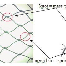 Determining as a mass point and as a spring in mass-spring model. | Download Scientific Diagram