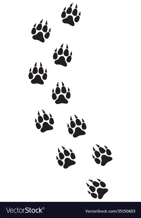 Wolf paw prints track Royalty Free Vector Image