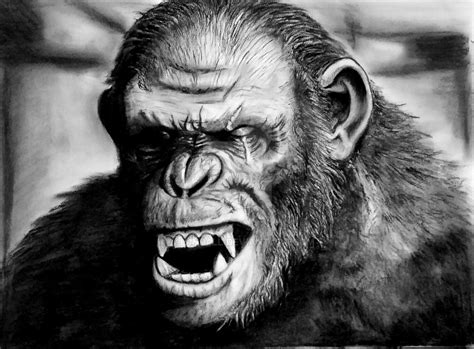 Koba 'Dawn Of The Planet Of The Apes' by A-L4ND4LL on DeviantArt