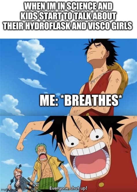 One Piece Luffy Calm Then Yelling Memes - Imgflip