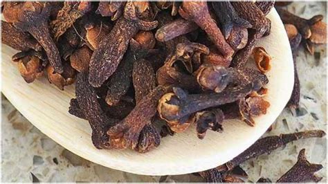 5 Health benefits and side effects of eating cloves in summer season | 5 News – India TV