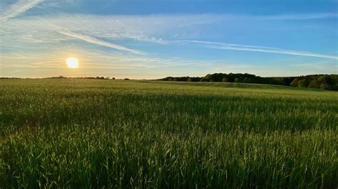 Sunset Summer Field - Free photo on Pixabay - Pixabay