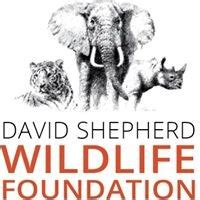 David Shepherd Wildlife Foundation | CFP