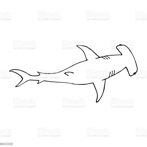 Vector Hand Drawn Doodle Sketch Hammerhead Shark Stock Illustration - Download Image Now ...