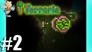 What Is Estee Terraria