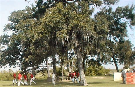 CCHC - 175th Celebration of the "Battle of Anahuac" - June 9, 2007 ...