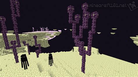 The End | Minecraft 101