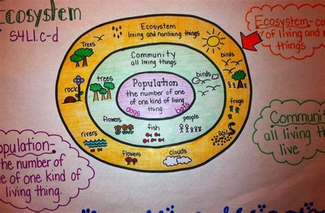 Ecosystem anchor chart | Science anchor charts, Fourth grade science, Elementary science