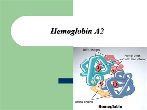 Hemoglobin A2