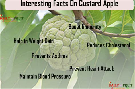 Nutrition chart for Custard apple