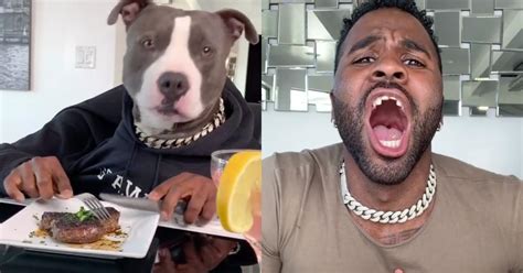 Jason Derulo's TikTok Videos Show How Bored We All Are in Quarantine