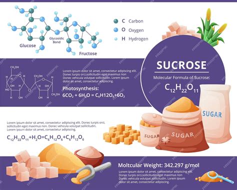 ¿QUÉ ES LA SACAROSA? - CONCEPTO Y SUSTANCIAS DE ESTE AZÚCAR NATURAL