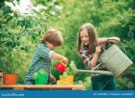 Watering Flowers in Garden. Kids Planting Flowers in Pot. Children ...