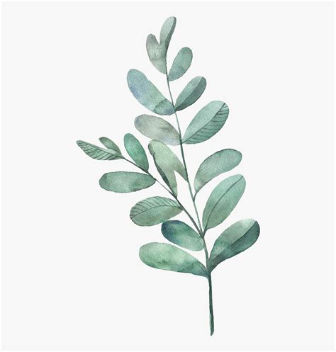 Watercolour Green Leaves Png , Png Download - Watercolor Leaves ...