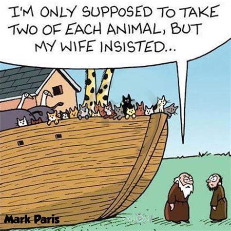 Noah’s Ark funnies