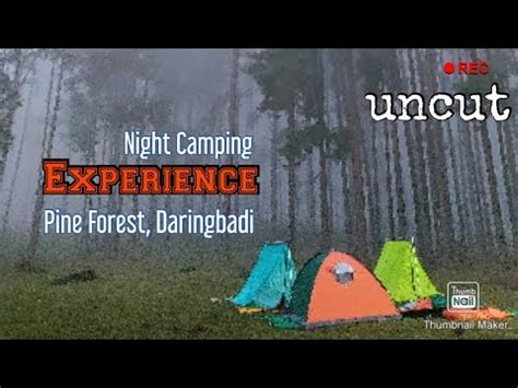 Night Camping Experience at Pine Forest, Daringbadi - YouTube