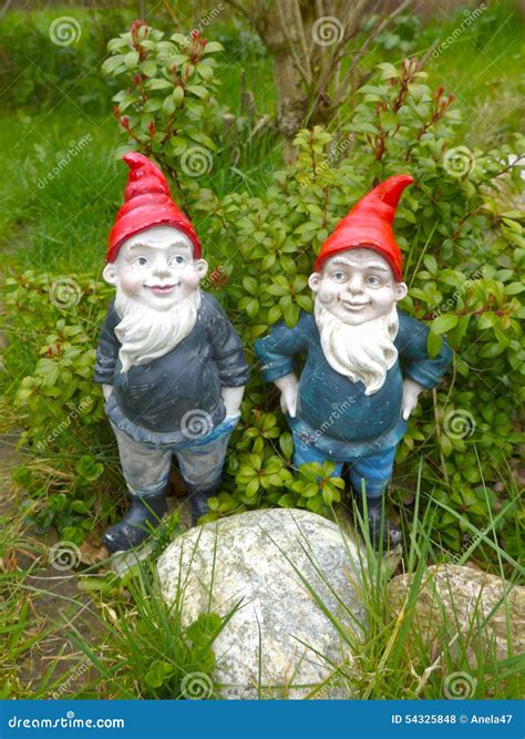 Two funny garden gnomes stock photo. Image of close, hedge - 54325848