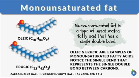 Monounsaturated fat - Definition and Examples - Biology Online Dictionary