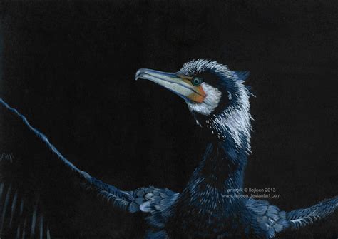 Cormorant by Ilojleen on DeviantArt