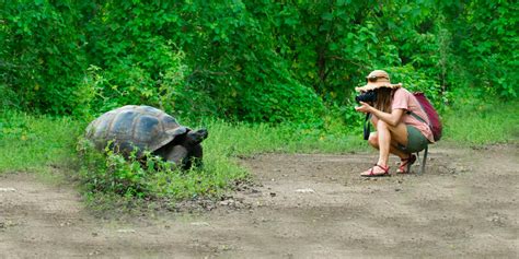 Galapagos Adventure Travel | 8 Days in Galapagos