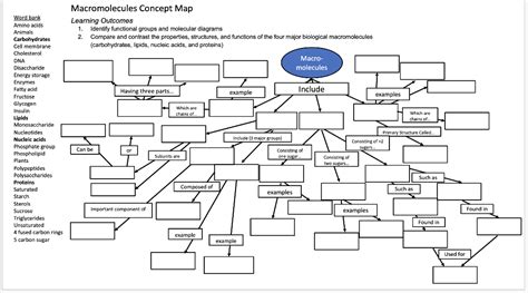 Biological Molecules Concept Map