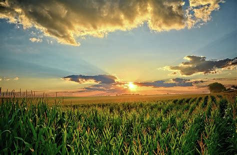 Iowa Corn Fields Photograph by Bonfire Photography - Fine Art America