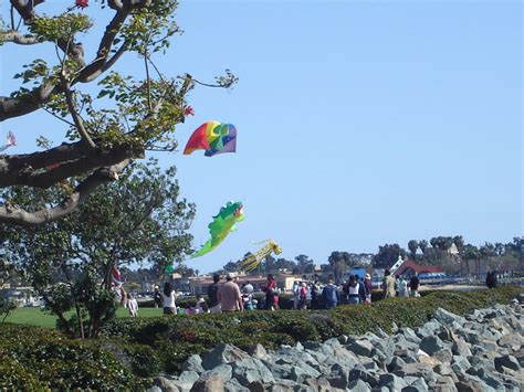 Kite Flying Free Stock Photo - Public Domain Pictures