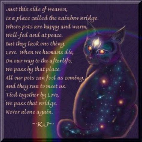 Pin by Sandy Parks on Heaven | Rainbow bridge cat, Rainbow bridge, Cat loss