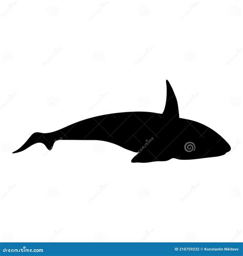 Vector Silhouette Orca. Killer Whale Illustration Stock Vector ...