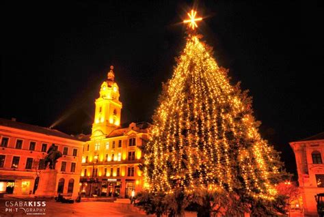 Christmas tree on Széchenyi Square of Pécs, 2012, Hungary. | Budapest hungary, Hungary ...