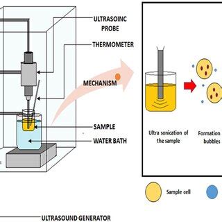 Schematic diagram of ultrasound‐assisted extraction | Download ...