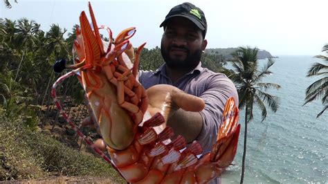 Big Shrimp Fishing | Prawns Fishing | Prawns Catching Videos street food - YouTube