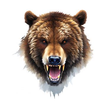 Bear Angry Images – Browse 65,062 Stock Photos, Vectors, and Video ...