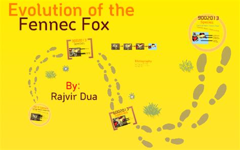 Fennec Fox Evolution by Rajvir Dua on Prezi