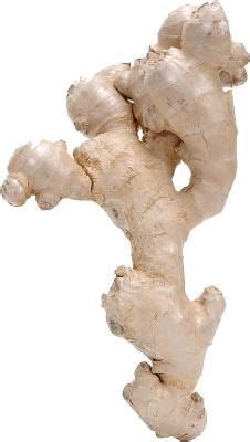 What Is the Equivalent of Fresh Ginger Root to Ground Ginger ...