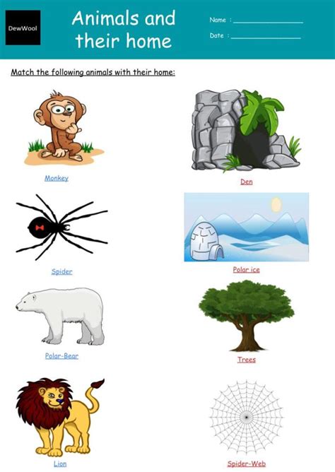 Animals and their home worksheet - DewWool