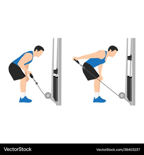 Man doing cable tricep kickbacks exercise Vector Image