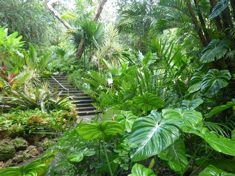 Botanical Gardens | Barbados Attractions