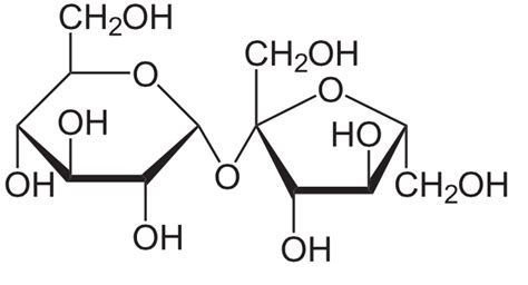 What functional groups are present in carbohydrates? | Socratic