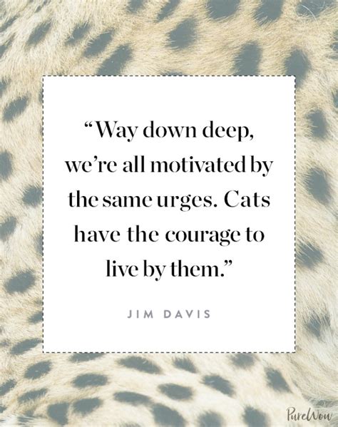 12 Cat Quotes Perfect for Feline Fans - PureWow