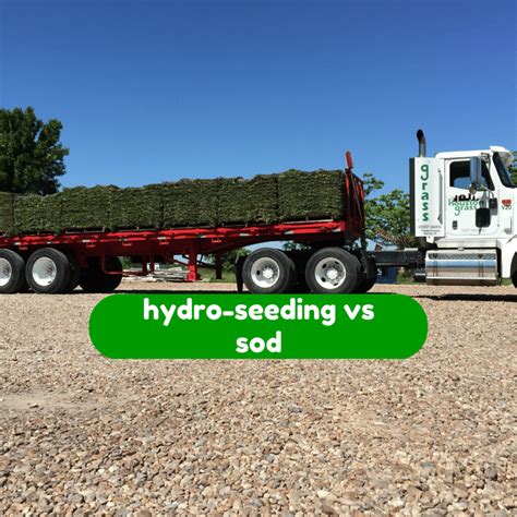 Hydroseeding vs Sod - Houston Grass South Pearland Katy Sugar Land TX