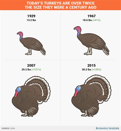 The turkey you're about to eat weighs twice as much as it did a few...