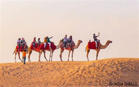 Camel Safari In Rajasthan: Explore the dunes of country - India Thrills