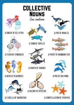 Collective Nouns: Sea Creatures Poster by Education Resource Hub