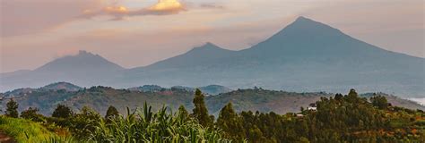 Volcanoes National Park Rwanda - Roots Tours & Travel